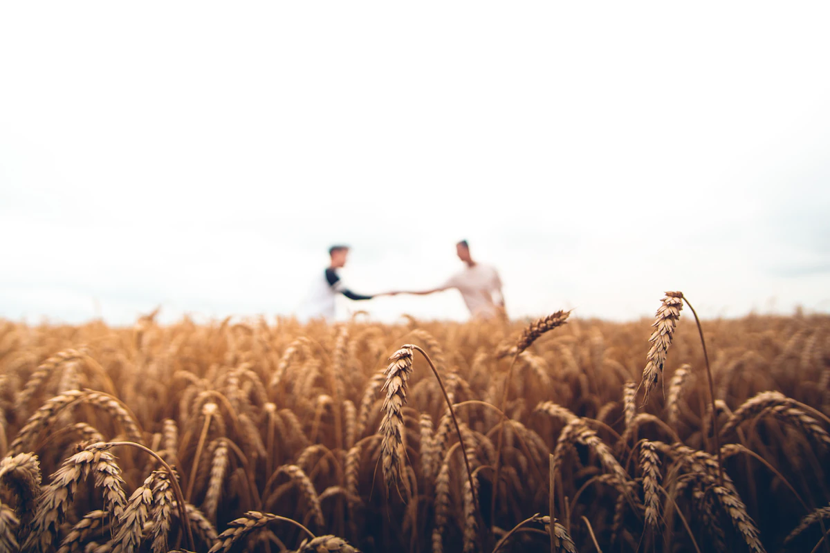 Landlord and farmer shaking hands in a wheat field, cementing a lease agreement